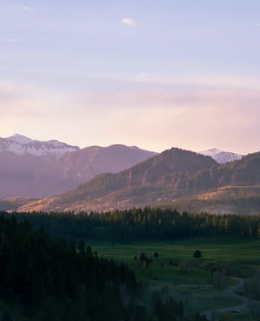 Weingüter in North Georgia